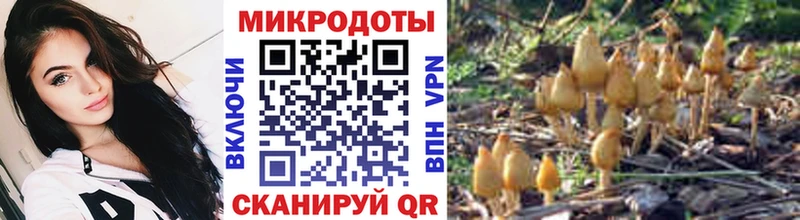 цены Коряжма Галлюциногенные грибы Cubensis
