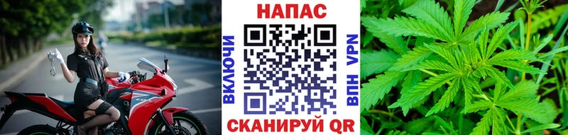 МАРИХУАНА план  Коряжма 
